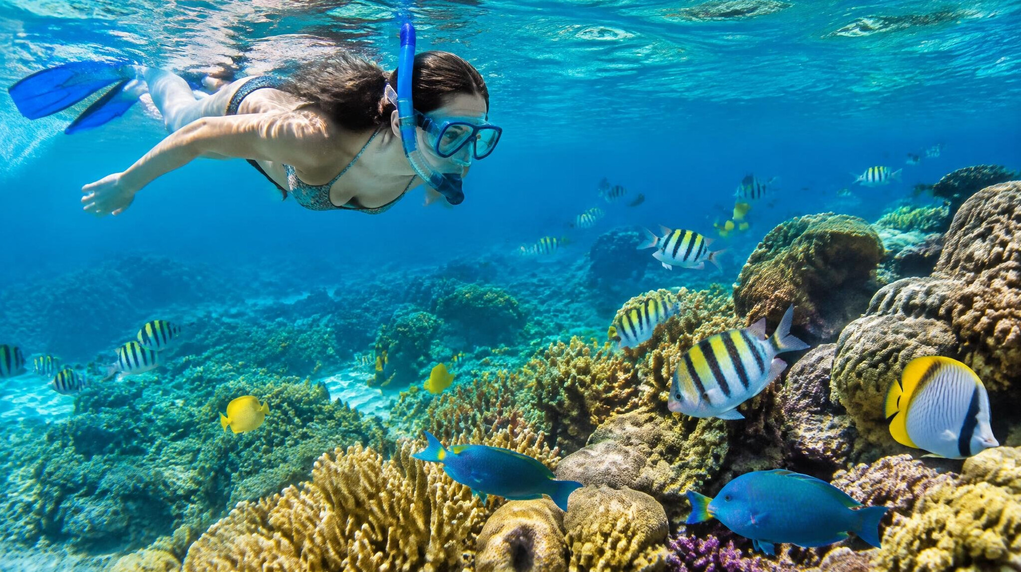 snorkeling in caribbean